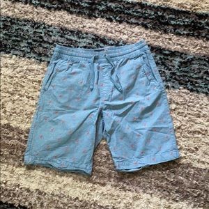 Flamingo Shorts